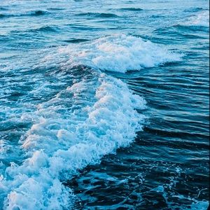 Meet your Posher, Hadley